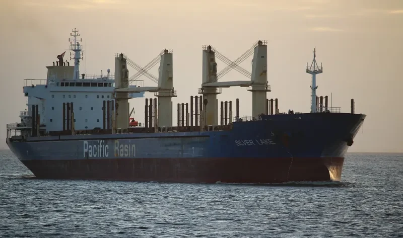SILVER LAKE Bulk Carrier IMO 9377963 photo 4