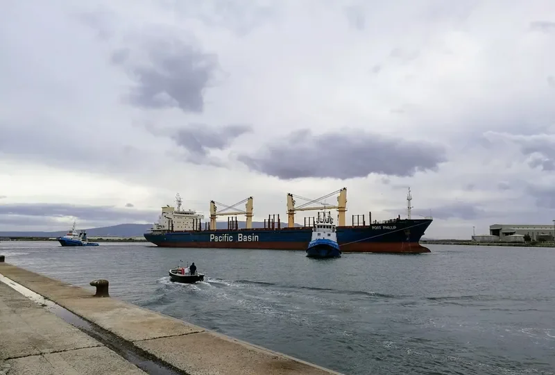 PORT PHILLIP Bulk Carrier IMO 9377975