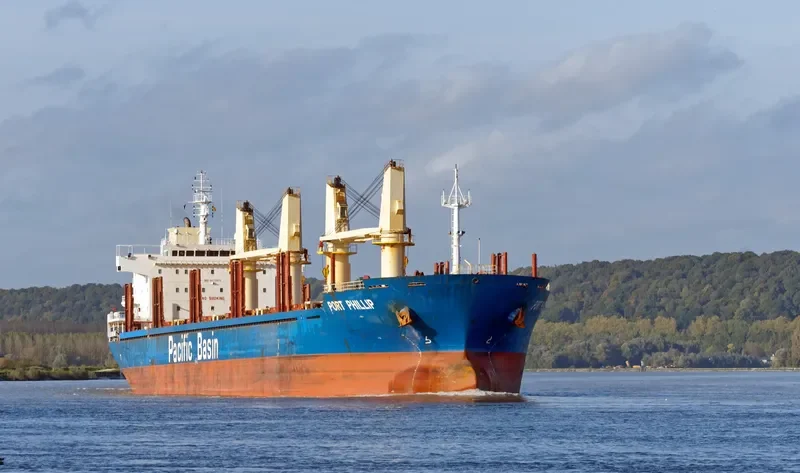 PORT PHILLIP Bulk Carrier IMO 9377975 photo 2