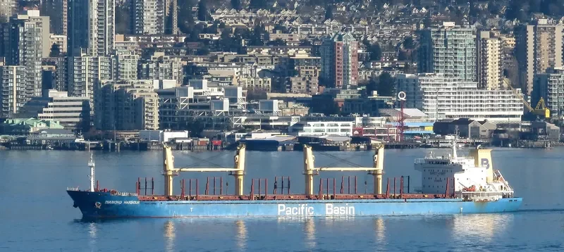 DIAMOND HARBOUR Bulk Carrier IMO 9377987 photo 2
