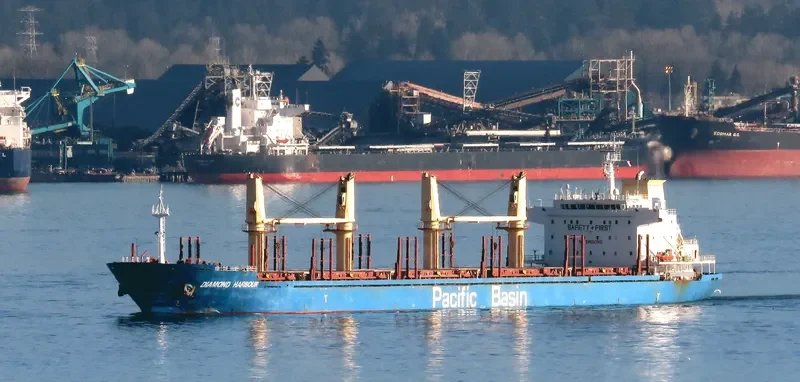 DIAMOND HARBOUR Bulk Carrier IMO 9377987 photo 3