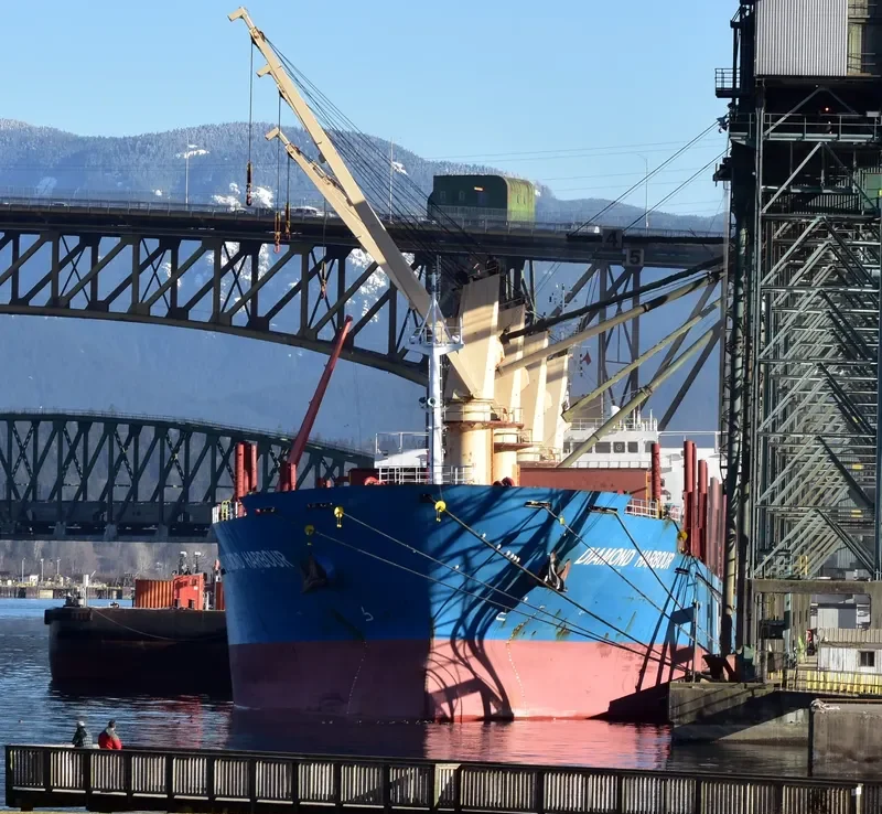 DIAMOND HARBOUR Bulk Carrier IMO 9377987 photo 5