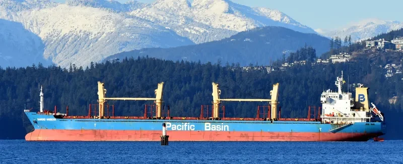 DIAMOND HARBOUR Bulk Carrier IMO 9377987 photo 6