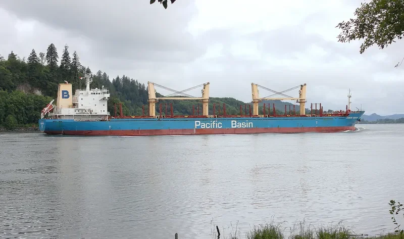 DIAMOND HARBOUR Bulk Carrier IMO 9377987 photo 10