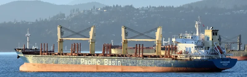 SANTIAGO BASIN General Cargo IMO 9377999 photo 9