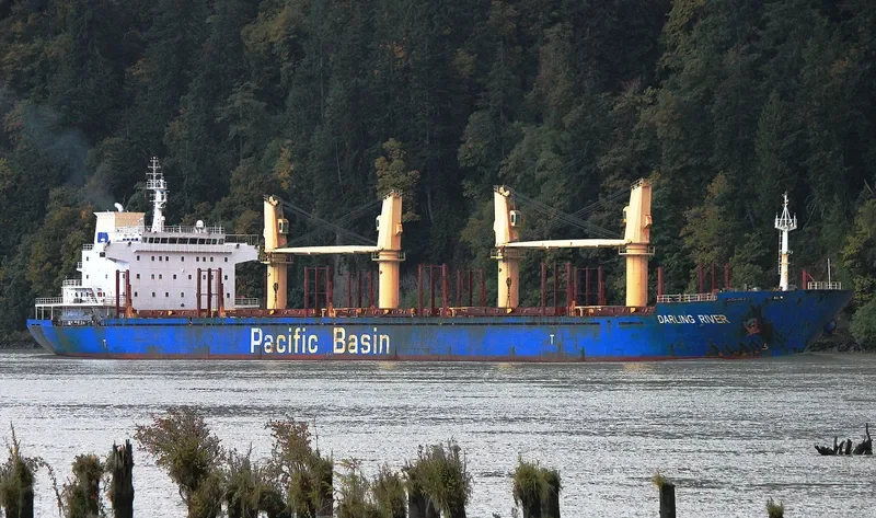 DARLING RIVER Bulk Carrier IMO 9378008 photo 3