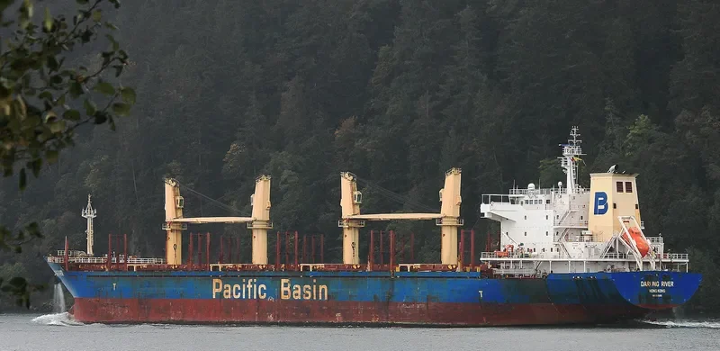 DARLING RIVER Bulk Carrier IMO 9378008 photo 6