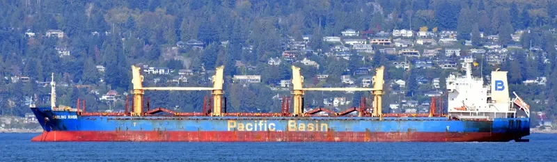 DARLING RIVER Bulk Carrier IMO 9378008 photo 8