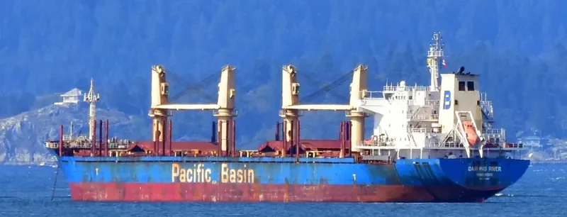 DARLING RIVER Bulk Carrier IMO 9378008 photo 9