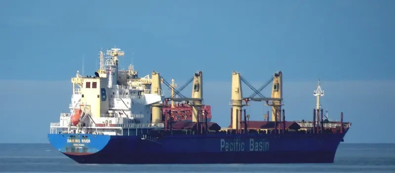 DARLING RIVER Bulk Carrier IMO 9378008 photo 10