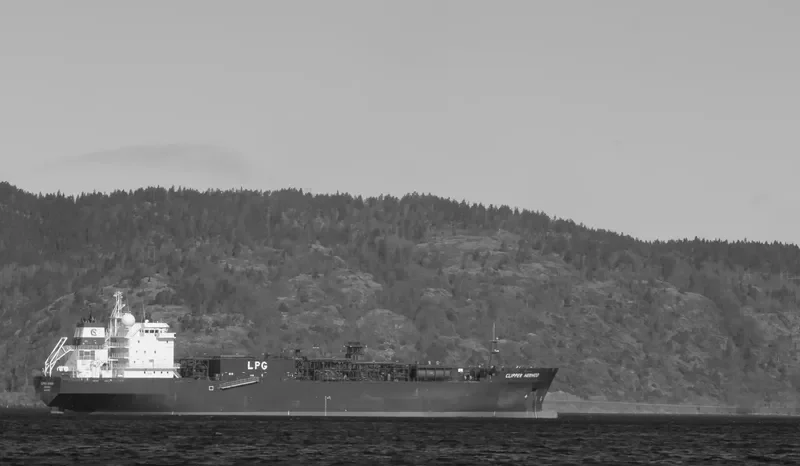 CLIPPER HERMOD General Cargo IMO 9378163 photo 3