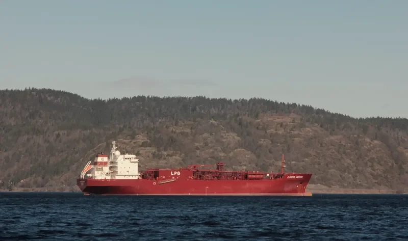 CLIPPER HERMOD General Cargo IMO 9378163 photo 4