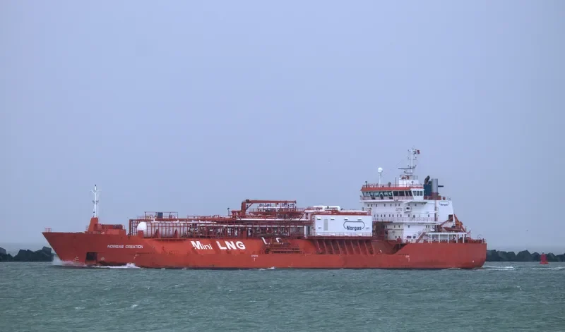 CORAL FAVIA General Cargo IMO 9378280 photo 3