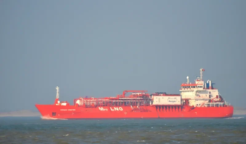CORAL FAVIA General Cargo IMO 9378280 photo 7