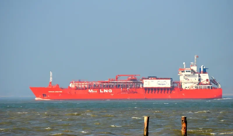 CORAL FAVIA General Cargo IMO 9378280 photo 8