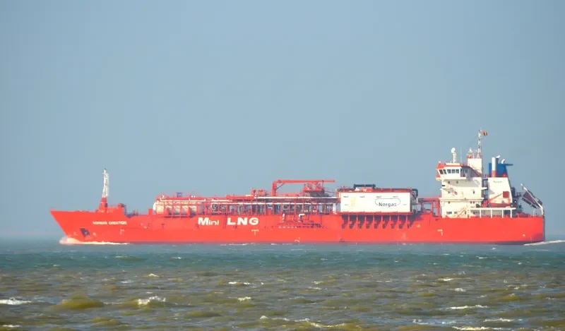 CORAL FAVIA General Cargo IMO 9378280 photo 9