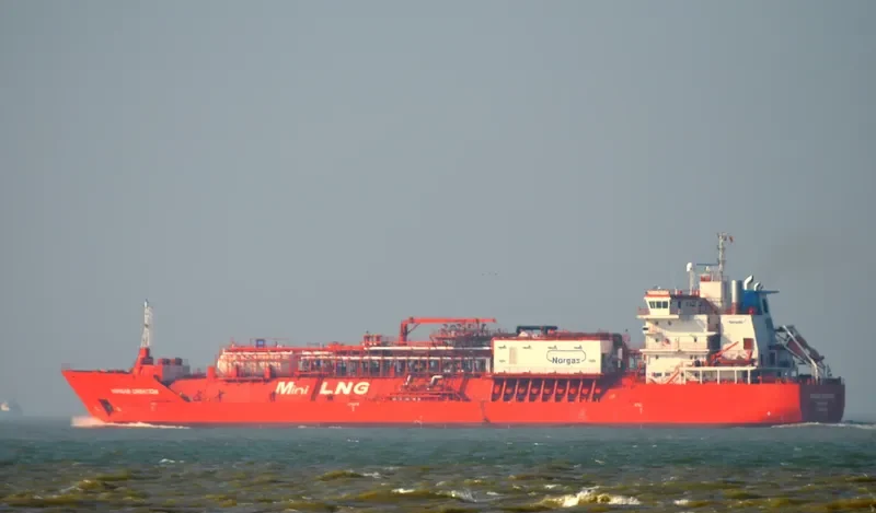 CORAL FAVIA General Cargo IMO 9378280 photo 10