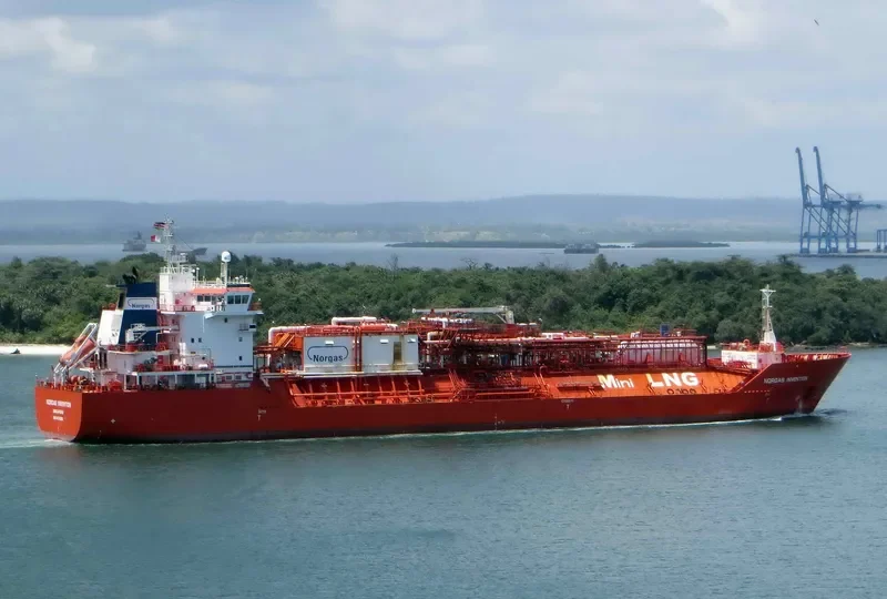 CORAL FUNGIA General Cargo IMO 9378292 photo 3