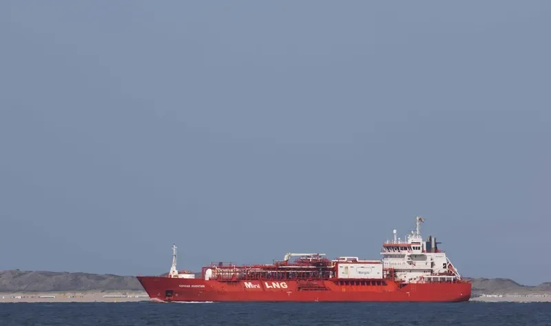 CORAL FUNGIA General Cargo IMO 9378292 photo 7