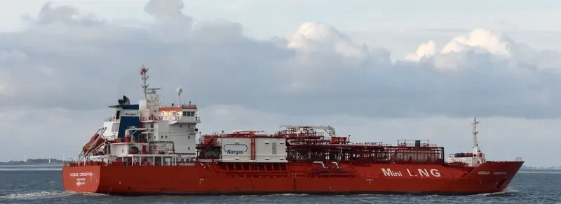 CORAL FURCATA General Cargo IMO 9378307 photo 2