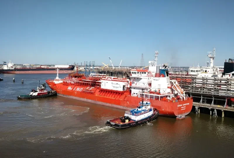 CORAL FURCATA General Cargo IMO 9378307 photo 5