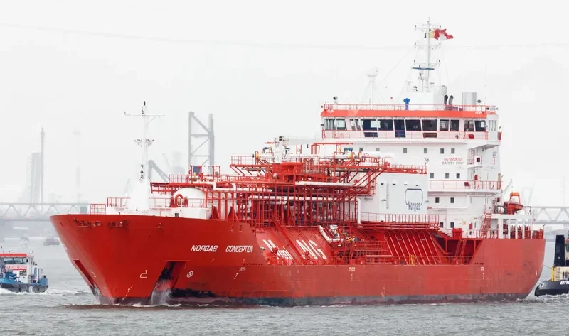 CORAL FURCATA General Cargo IMO 9378307 photo 7