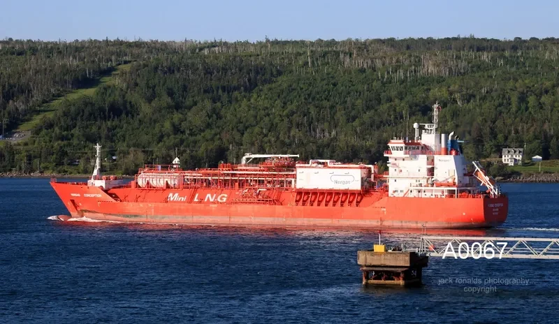 CORAL FURCATA General Cargo IMO 9378307 photo 8