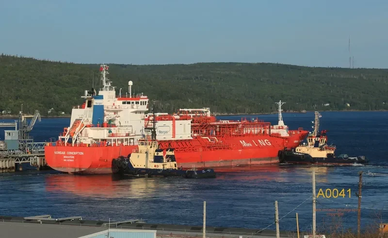CORAL FURCATA General Cargo IMO 9378307 photo 9