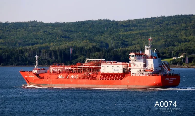 CORAL FURCATA General Cargo IMO 9378307 photo 10