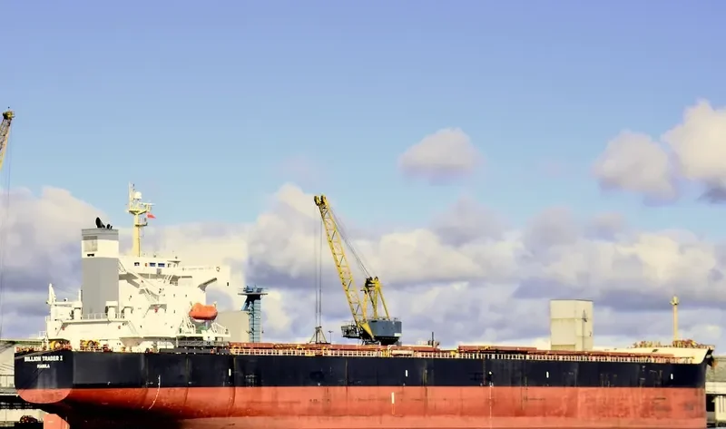 THE GUARDIAN Bulk Carrier IMO 9378395 photo 7