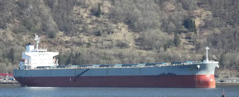 THE GUARDIAN Bulk Carrier IMO 9378395 photo 9