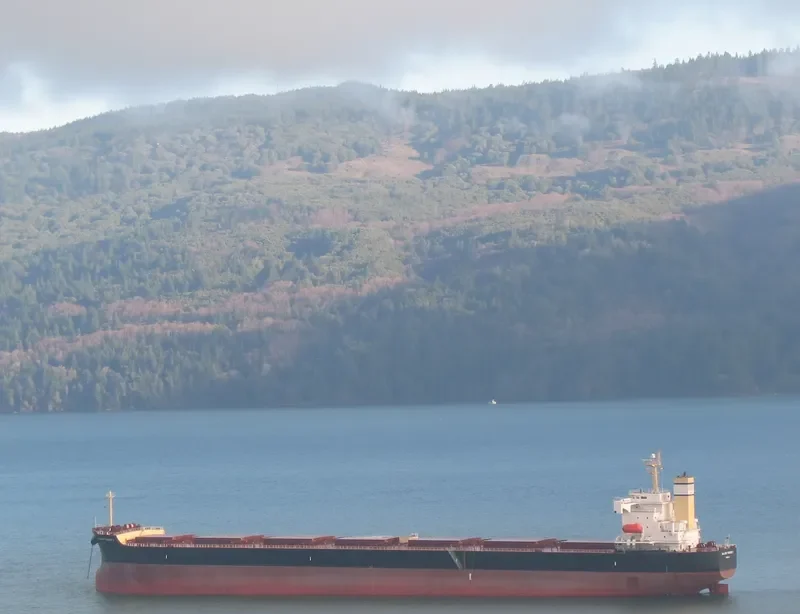 THE GUARDIAN Bulk Carrier IMO 9378395 photo 10