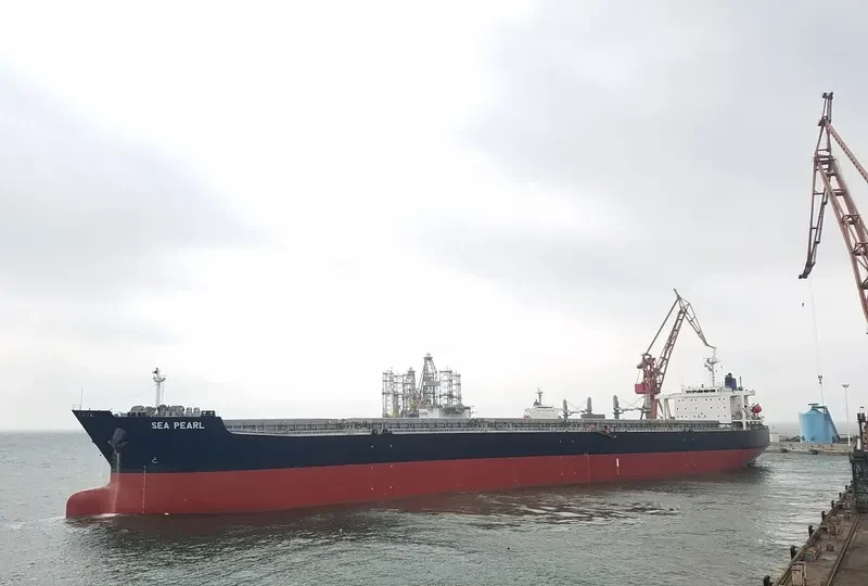 SEA PEARL Bulk Carrier IMO 9378606