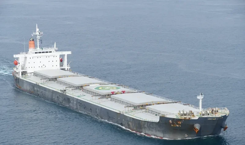 SEA PEARL Bulk Carrier IMO 9378606 photo 2