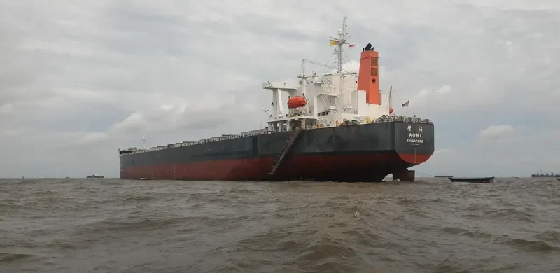 SEA PEARL Bulk Carrier IMO 9378606 photo 4