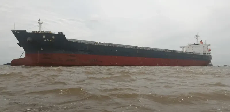 SEA PEARL Bulk Carrier IMO 9378606 photo 5