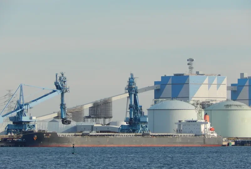 SEA PEARL Bulk Carrier IMO 9378606 photo 6