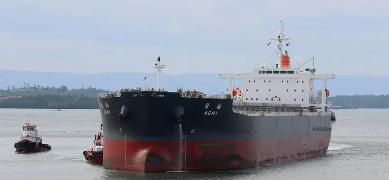 SEA PEARL Bulk Carrier IMO 9378606 photo 7