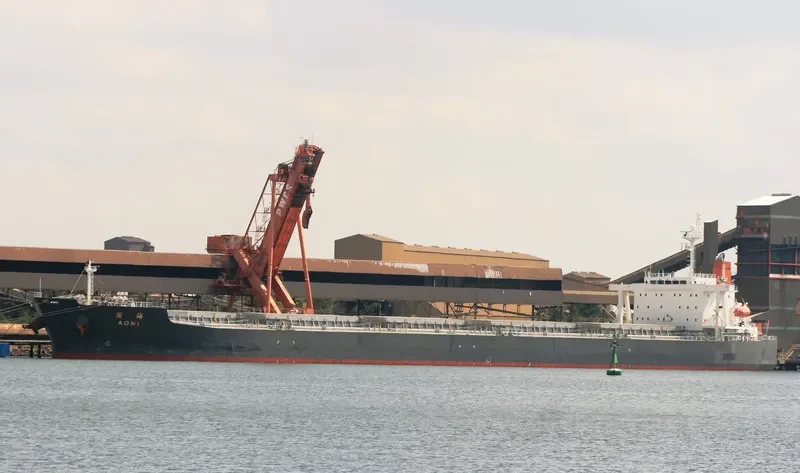 SEA PEARL Bulk Carrier IMO 9378606 photo 10