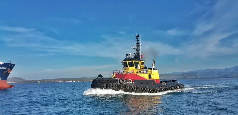 HECTOR P General Cargo IMO 9378709 photo 5