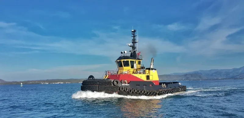 HECTOR P General Cargo IMO 9378709 photo 6