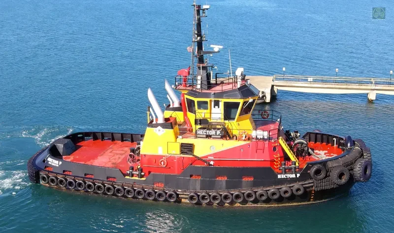 HECTOR P General Cargo IMO 9378709 photo 10