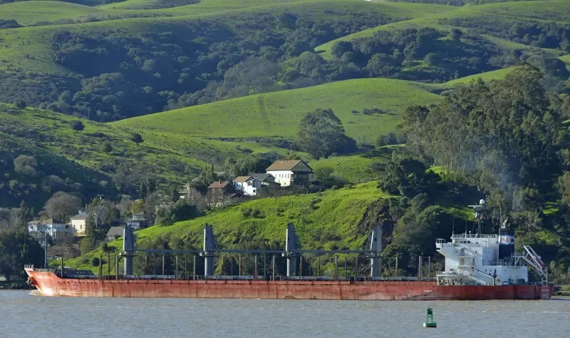 MAJESTIC MARINA Bulk Carrier IMO 9378826