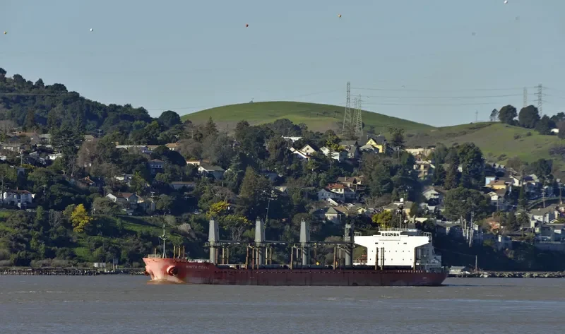 MAJESTIC MARINA Bulk Carrier IMO 9378826 photo 2