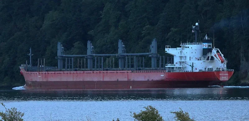 MAJESTIC MARINA Bulk Carrier IMO 9378826 photo 3