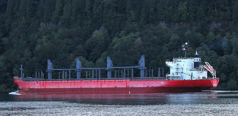 MAJESTIC MARINA Bulk Carrier IMO 9378826 photo 4