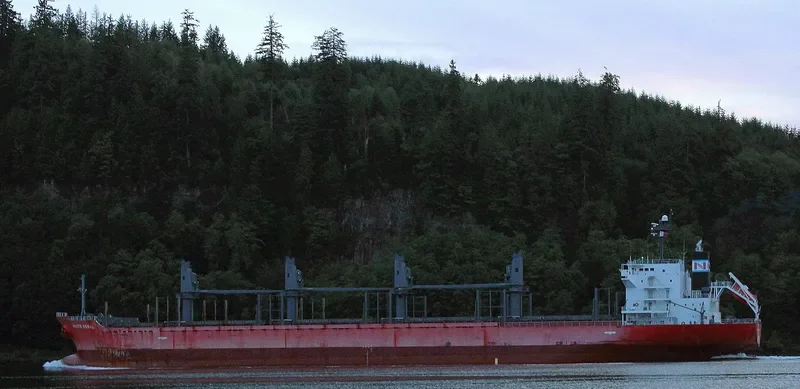 MAJESTIC MARINA Bulk Carrier IMO 9378826 photo 5