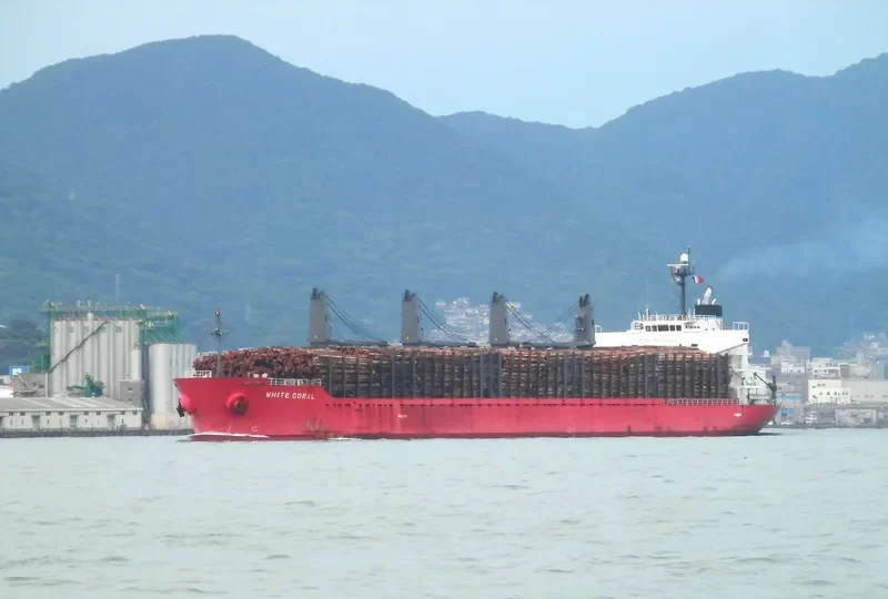 MAJESTIC MARINA Bulk Carrier IMO 9378826 photo 6