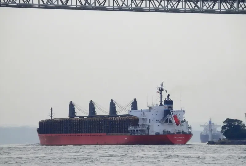 MAJESTIC MARINA Bulk Carrier IMO 9378826 photo 8