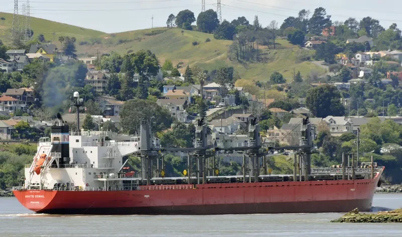 MAJESTIC MARINA Bulk Carrier IMO 9378826 photo 9